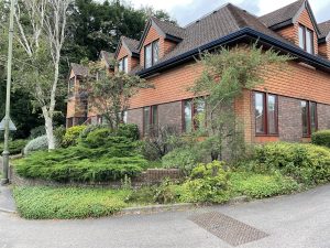 Continental House, Oakridge, Woking